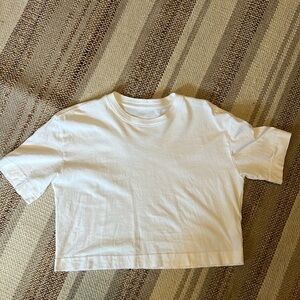 Everlane white crop top